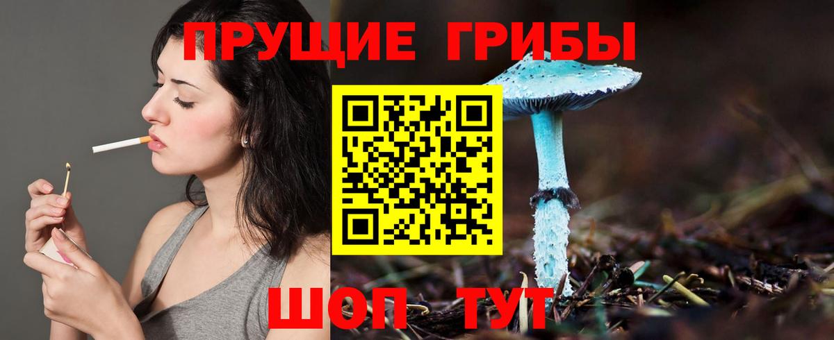 Псилоцибиновые грибы Psilocybe  Вход с VPN  Екатеринбург  Галлюциногенные грибы мицелий 